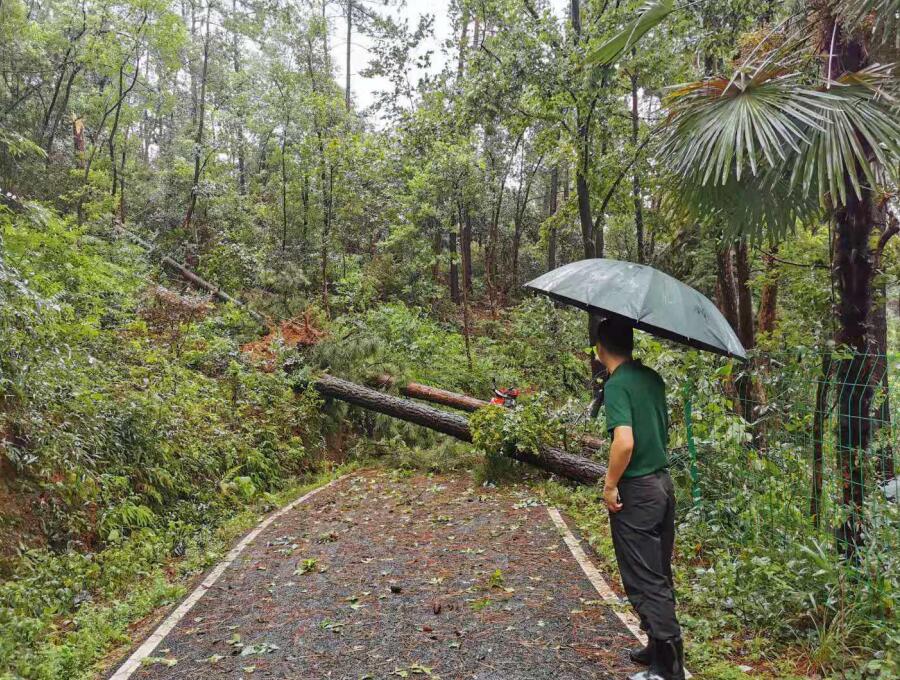 1565677213539762lKzU.jpg 6.jpg